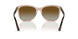5850T5 - Brown - Gradient Brown Polar