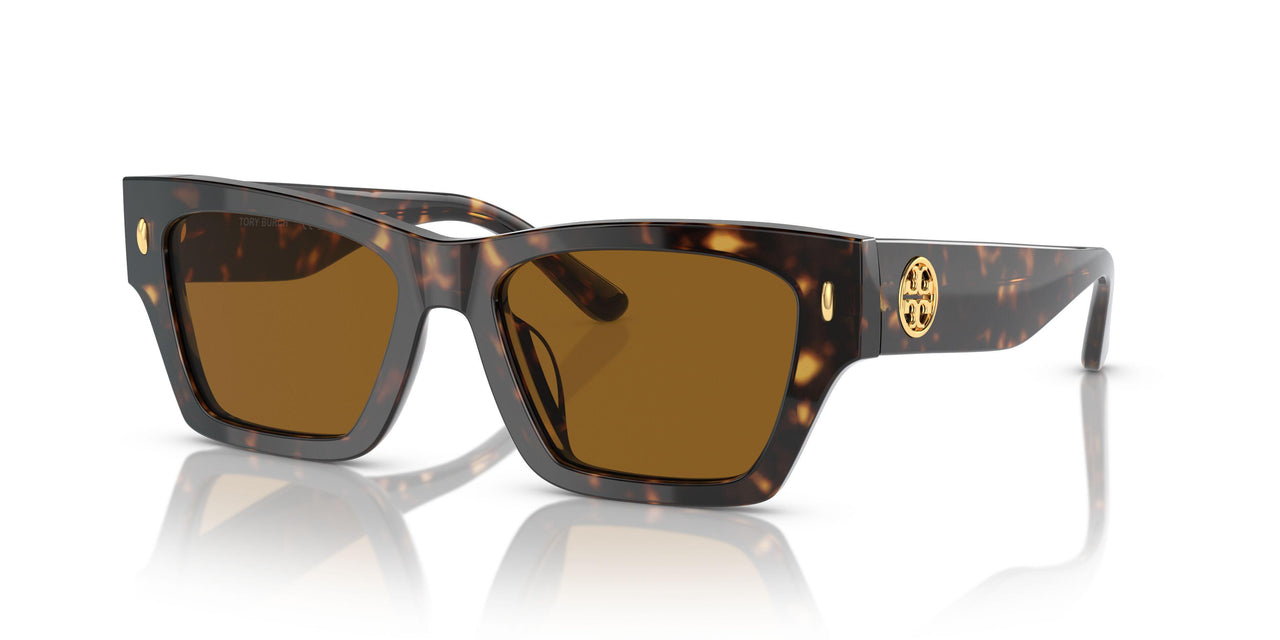 172883 - Tortoise - Dark Brown - Polar