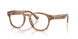 Polo 2318F Eyeglasses