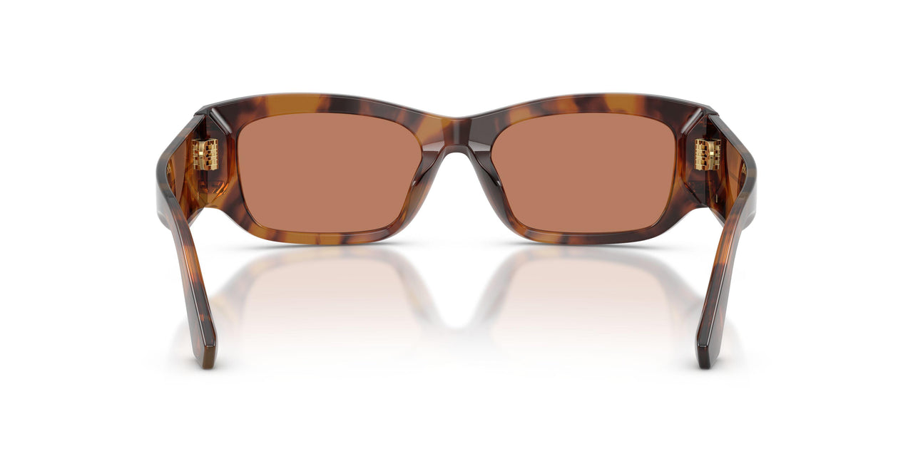 3497/3 - Tortoise - Brown