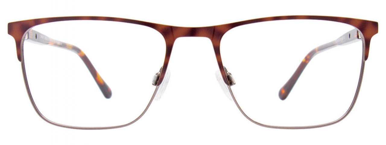 010 - Tortoise Brown