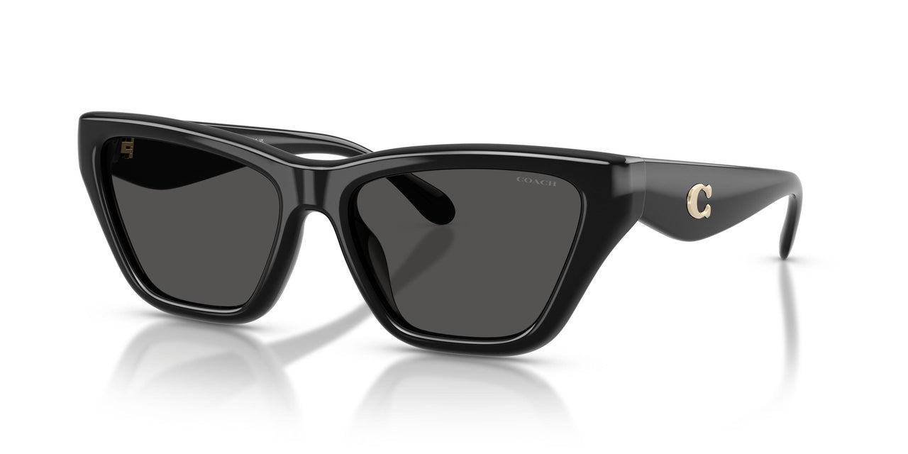 Coach Cdp33 8449U Sunglasses
