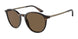 502673 - Tortoise - Dark Brown