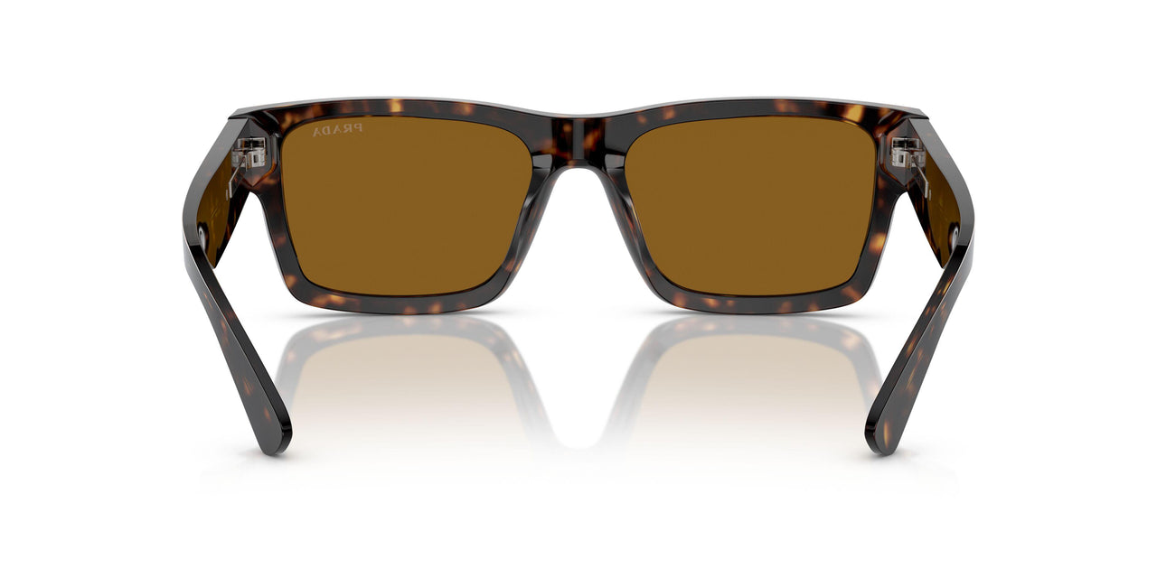 2AU0B0 - Tortoise - Brown