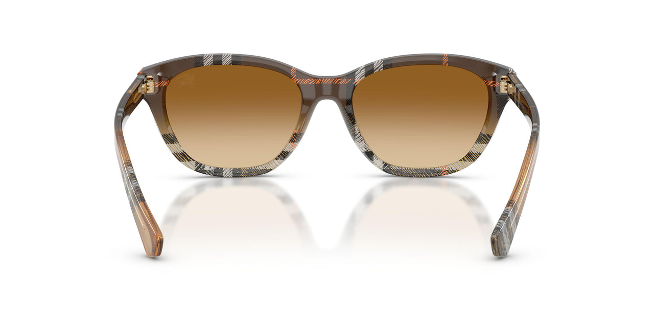 420213 - Brown - Brown Gradient