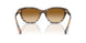 420213 - Brown - Brown Gradient