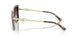 4031E2 - Tortoise - Brown Gradient