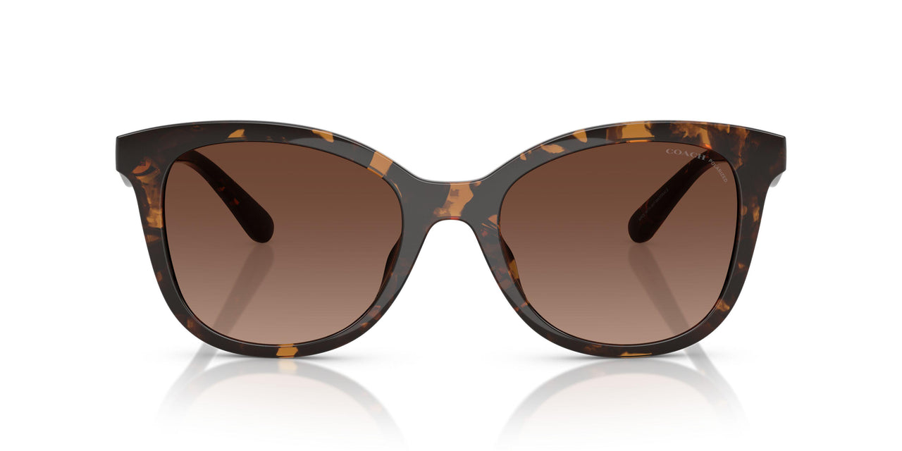 5120T5 - Tortoise - Brown Gradient Polar