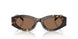198173 - Tortoise - Brown