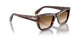 24/51 - Tortoise - Clear Gradient Brown