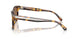 513473 - Tortoise - Brown