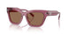 317973 - Pink - Dark Brown