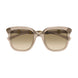 004 - Brown - Brown