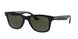 601/31 - Black - Green