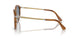 960/56 - Tortoise - Light Blue