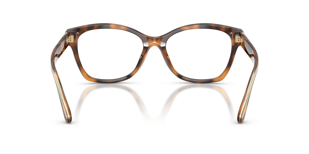 6089 - Tortoise