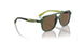 312673 - Green - Dark Brown