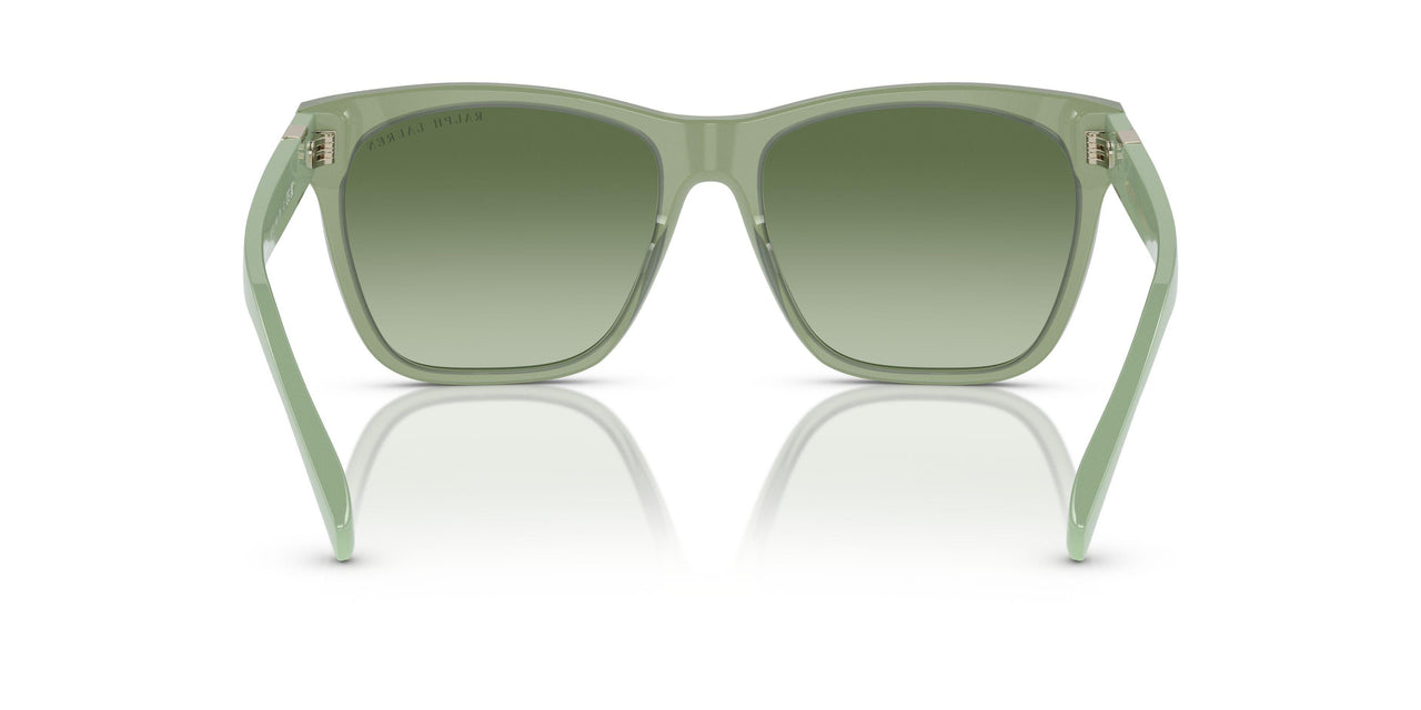 60498E - Green - Gradient Green