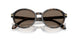 623573 - Tortoise - Brown