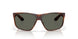 912805 - Tortoise - Gray