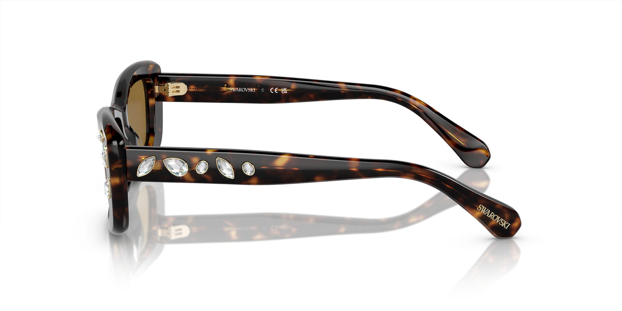 100273 - Brown - Bronze