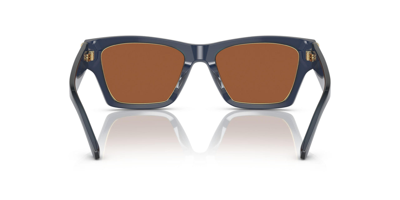 165673 - Blue - Solid Brown