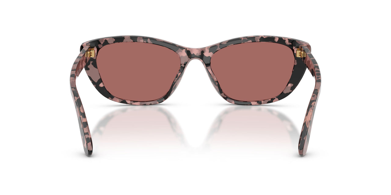 347669 - Tortoise - Dark Violet