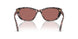 347669 - Tortoise - Dark Violet