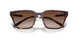 821313 - Tortoise - Gradient Brown