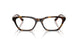 W656 - Brown