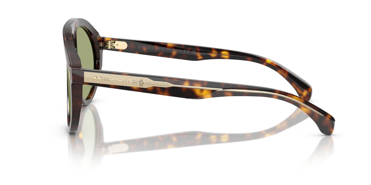 300282 - Tortoise - Green