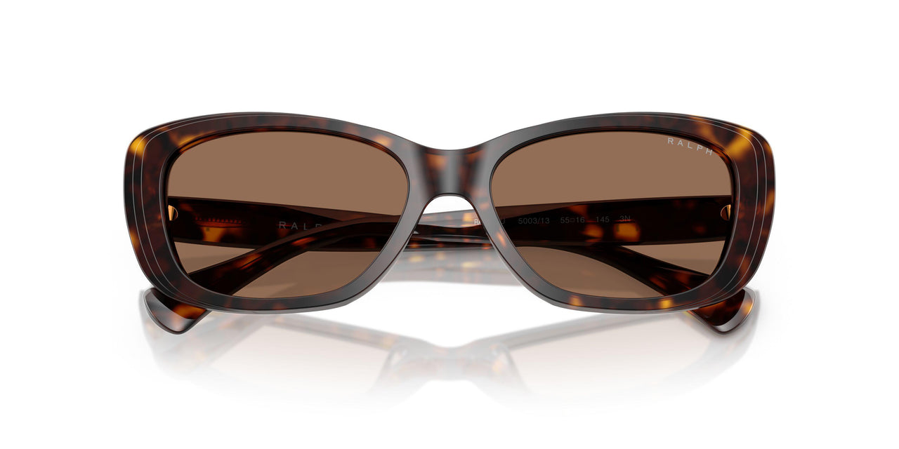 500313 - Tortoise - Brown