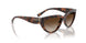 271813 - Brown - Gradient Dark Brown