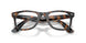 8401 - Tortoise - Clear