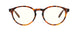 02309 - Tortoise - Clear