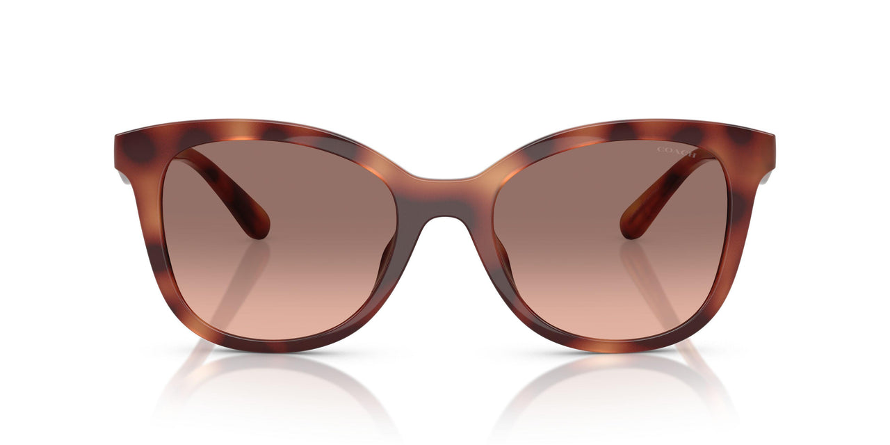 577413 - Tortoise - Brown Pink Gradient