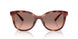 577413 - Tortoise - Brown Pink Gradient