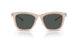203487 - Brown - Dark Grey