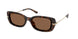 30063G - Tortoise - Dark Brown Solid