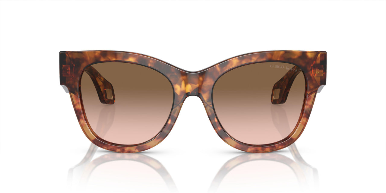 603351 - Brown - Gradient Brown