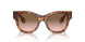 603351 - Brown - Gradient Brown