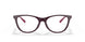 3344 - Purple/reddish