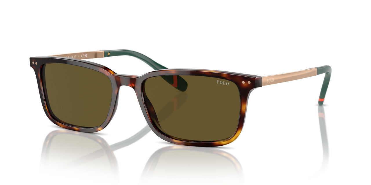 613773 - Tortoise - Olive Green