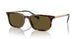 613773 - Tortoise - Olive Green