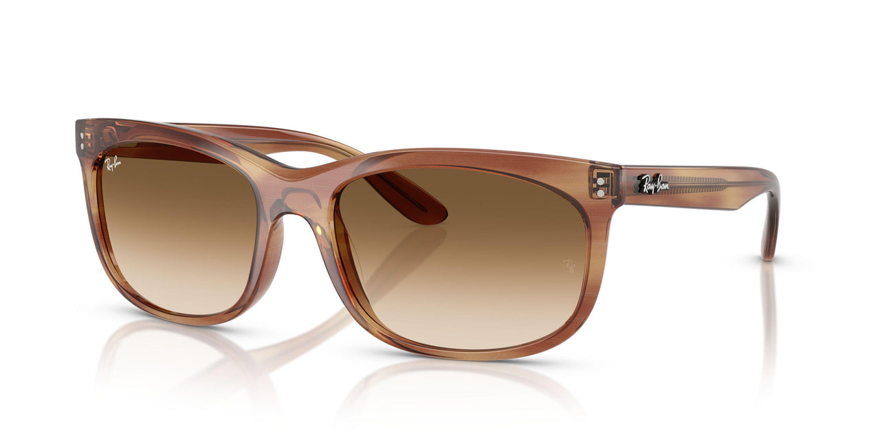 140351 - Tortoise - Clear Gradient Brown