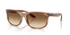 140351 - Tortoise - Clear Gradient Brown