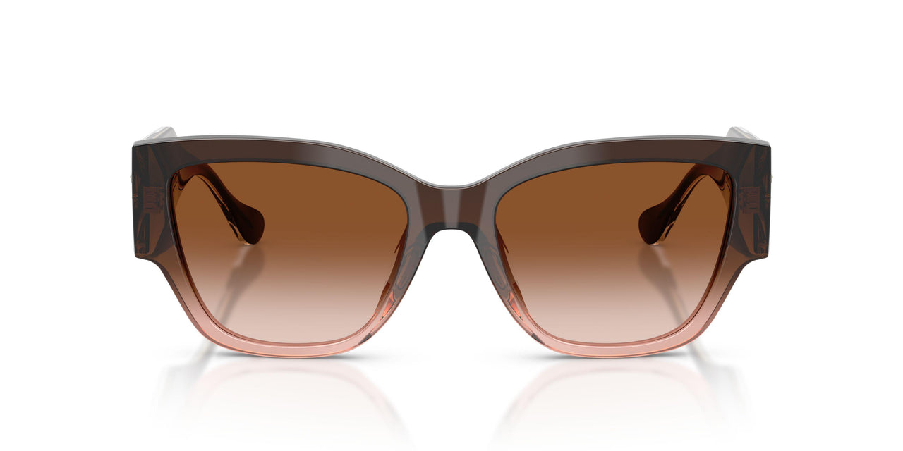 533213 - Brown - Brown Gradient