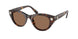 100273 - Tortoise - Dark Brown