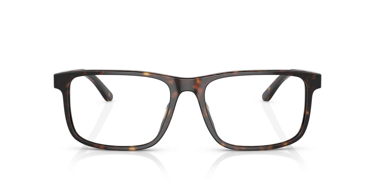 5003 - Brown