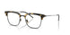 5062 - Tortoise